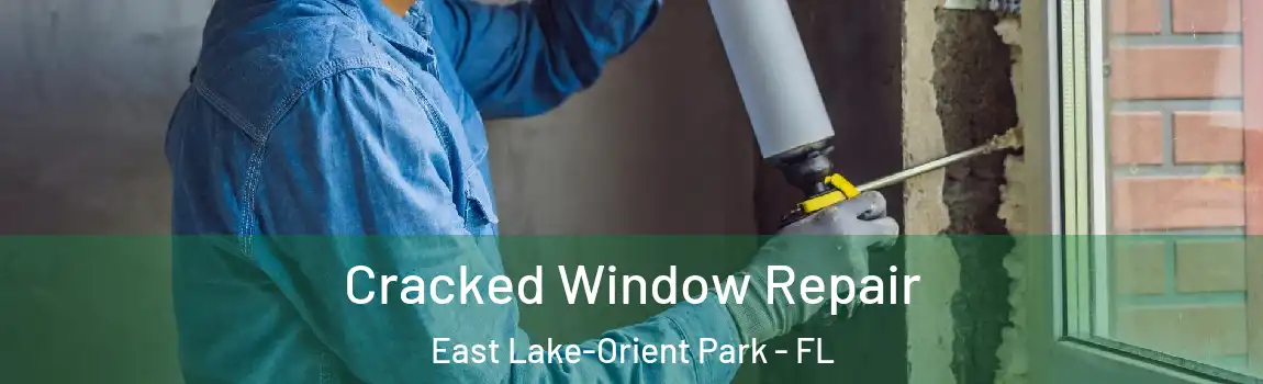  Cracked Window Repair East Lake-Orient Park - FL