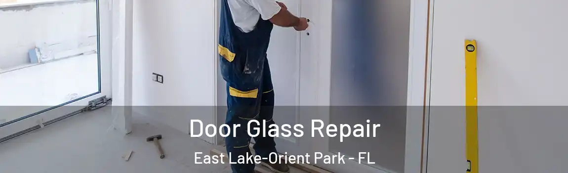 Door Glass Repair East Lake-Orient Park - FL