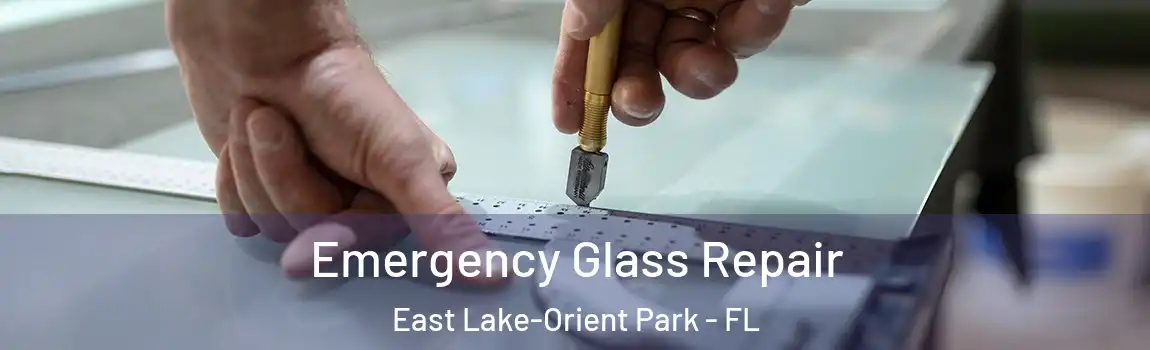  Emergency Glass Repair East Lake-Orient Park - FL