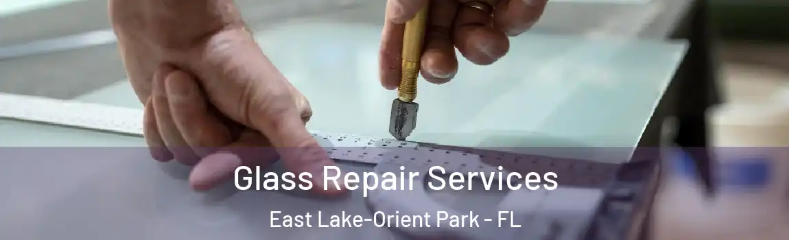 Glass Repair Services East Lake-Orient Park - FL
