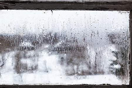 Defogging Double Pane Windows in East Lake-Orient Park, FL
