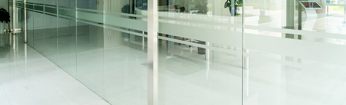 Local Glass Repair in East Lake-Orient Park, FL