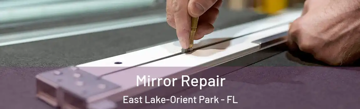  Mirror Repair East Lake-Orient Park - FL