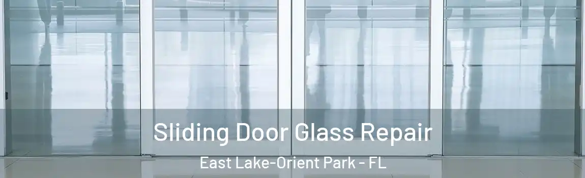 Sliding Door Glass Repair East Lake-Orient Park - FL