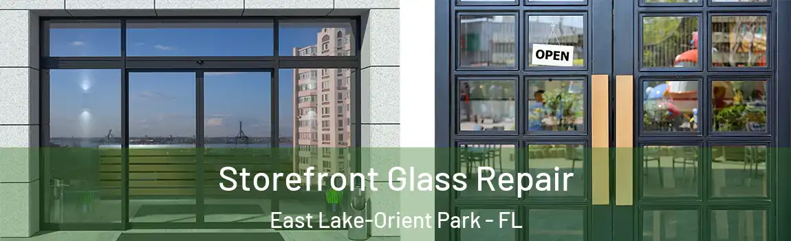  Storefront Glass Repair East Lake-Orient Park - FL