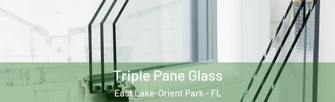  Triple Pane Glass East Lake-Orient Park - FL
