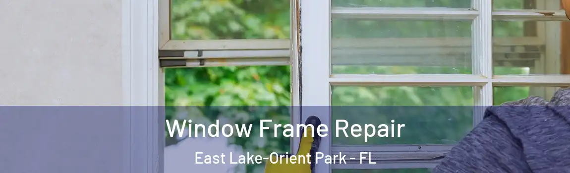 Window Frame Repair East Lake-Orient Park - FL