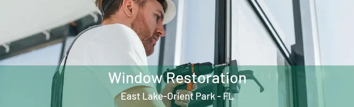  Window Restoration East Lake-Orient Park - FL